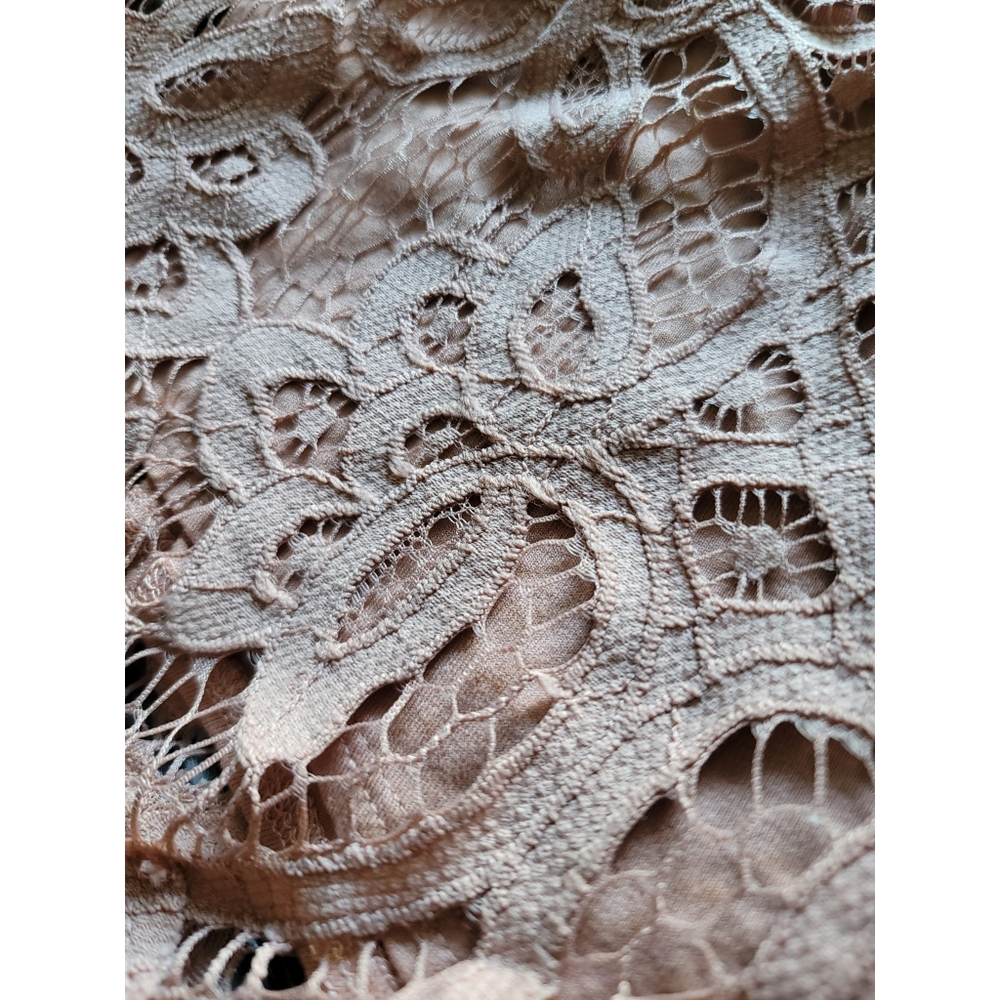 Free People Adella Blush Lace Shorts - Picture 10 of 13